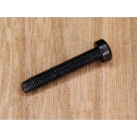 Винт M5x30-DUO-TAPTITE-TORX Festool